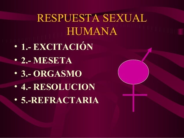 fase refractaria sexual Fase refractaria sexual